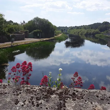 Matty's Pub - Apartment's Appartement Carlow