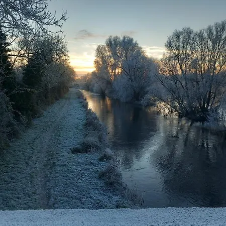 Matty's Pub - Apartment's Daire Carlow