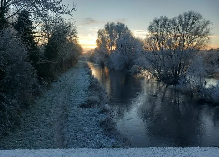 Matty's Pub - Apartment's Lejlighed Carlow