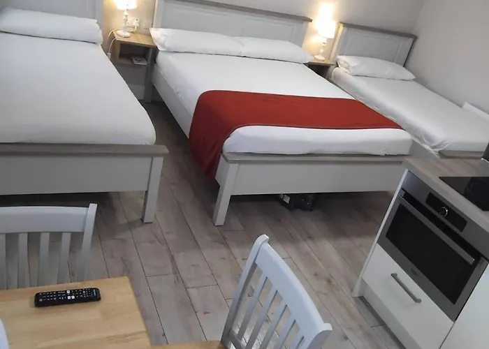 Daire Matty's Pub - Apartment's Carlow